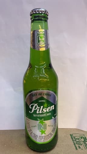 Cerveza Andina Lata 473